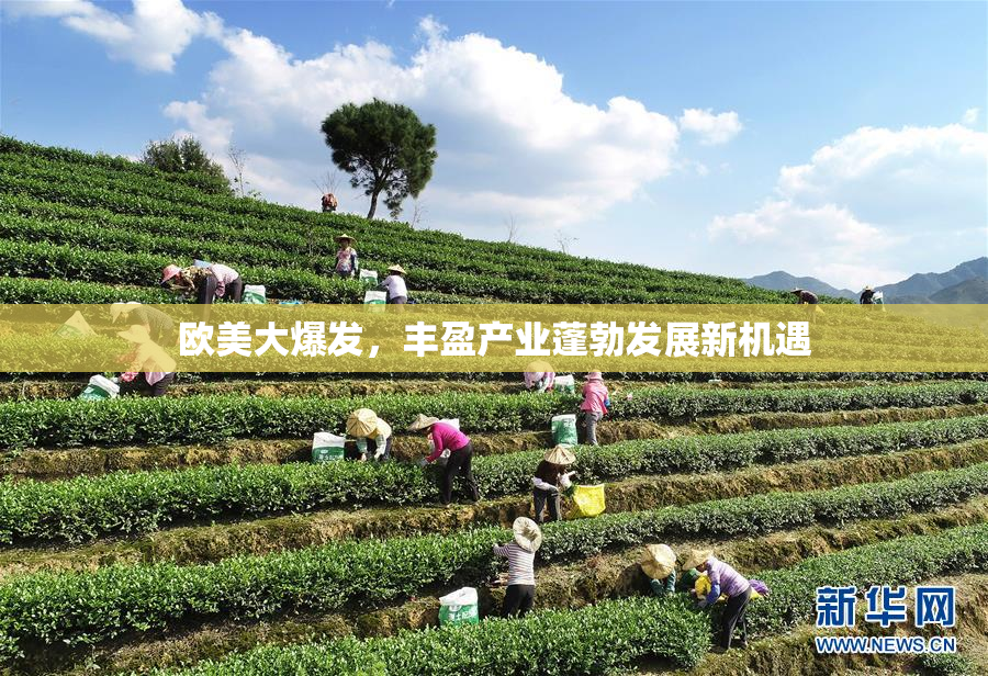 欧美大爆发，丰盈产业蓬勃发展新机遇