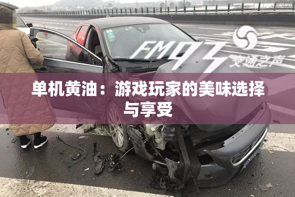 单机黄油：游戏玩家的美味选择与享受