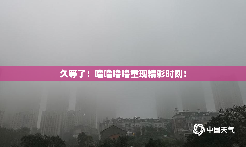久等了！噜噜噜噜重现精彩时刻！