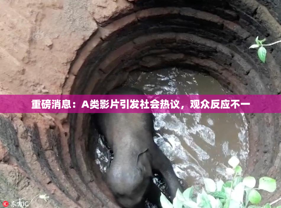 重磅消息：A类影片引发社会热议，观众反应不一