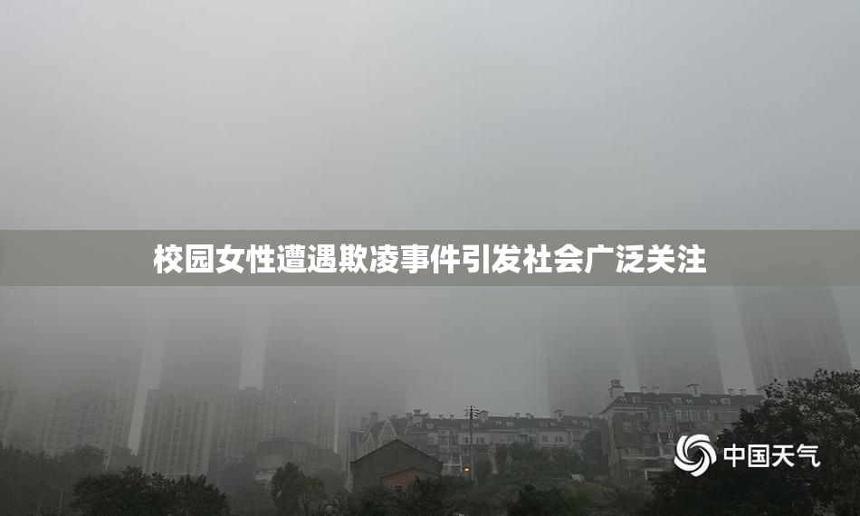校园女性遭遇欺凌事件引发社会广泛关注