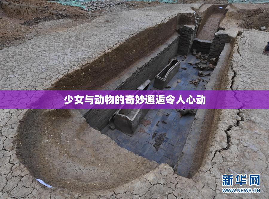 少女与动物的奇妙邂逅令人心动