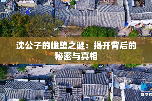 沈公子的雌堕之谜：揭开背后的秘密与真相
