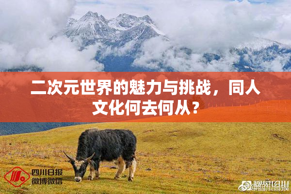 二次元世界的魅力与挑战，同人文化何去何从？
