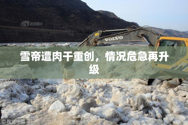 雪帝遭肉干重创，情况危急再升级