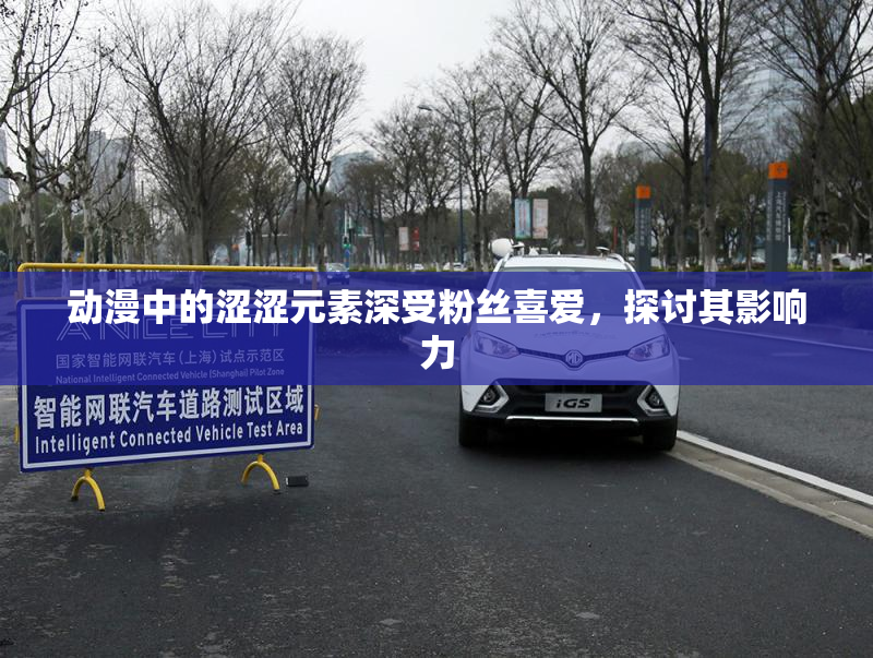 动漫中的涩涩元素深受粉丝喜爱，探讨其影响力