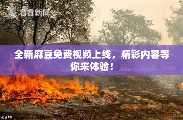全新麻豆免费视频上线，精彩内容等你来体验！