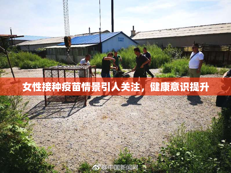女性接种疫苗情景引人关注，健康意识提升