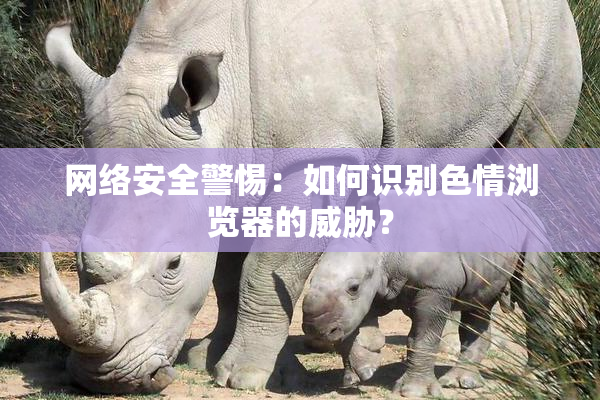 网络安全警惕：如何识别色情浏览器的威胁？