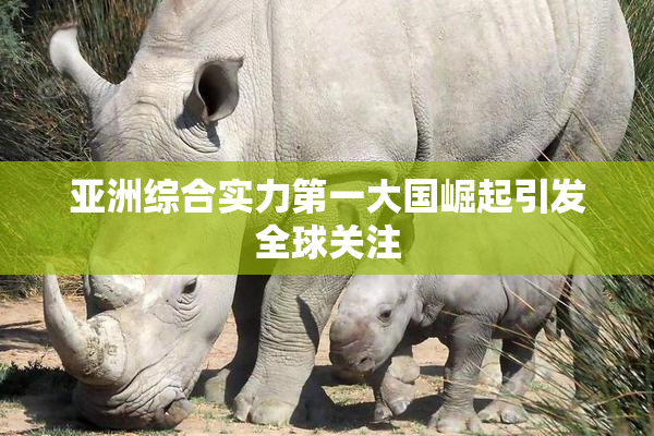 亚洲综合实力第一大国崛起引发全球关注