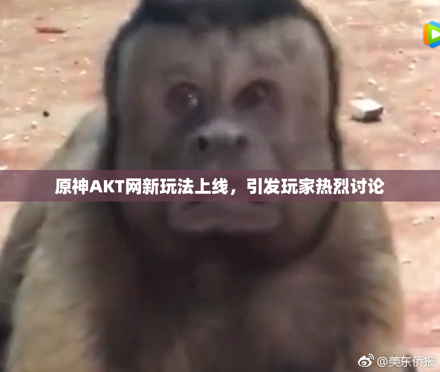原神AKT网新玩法上线，引发玩家热烈讨论
