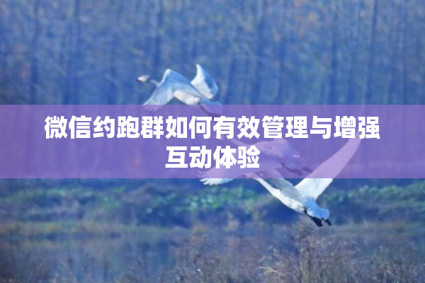 微信约跑群如何有效管理与增强互动体验