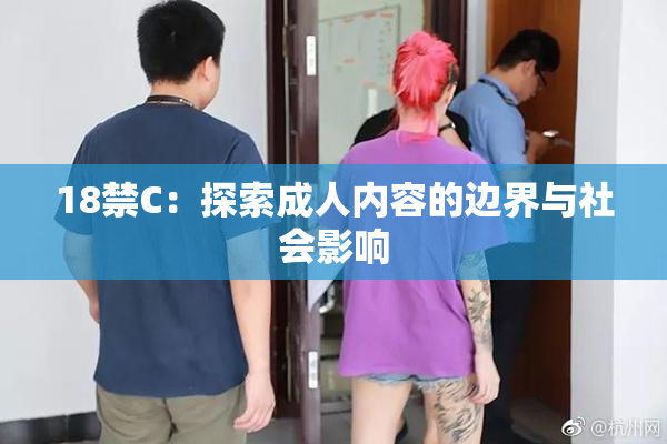 18禁C：探索成人内容的边界与社会影响