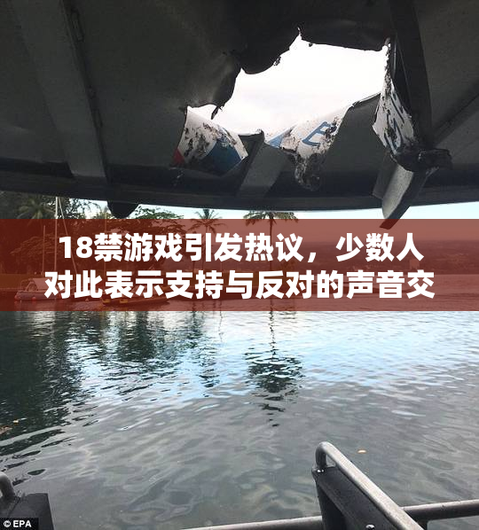 18禁游戏引发热议，少数人对此表示支持与反对的声音交织。