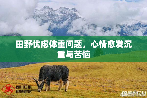 田野忧虑体重问题，心情愈发沉重与苦恼