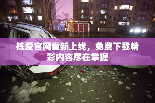 拣爱官网重新上线，免费下载精彩内容尽在掌握