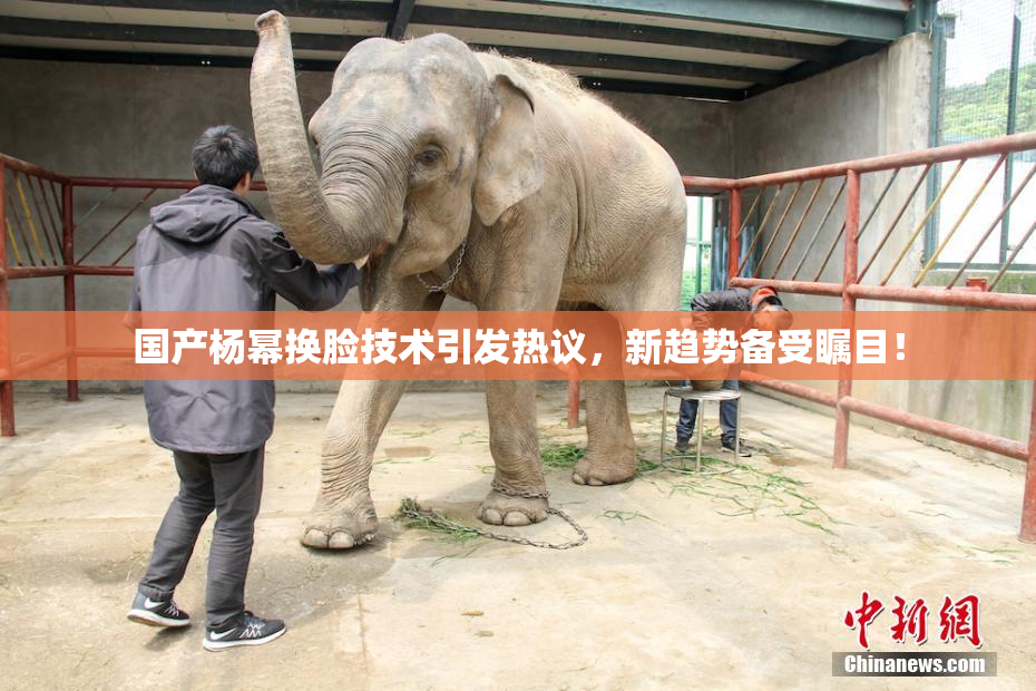 国产杨幂换脸技术引发热议，新趋势备受瞩目！