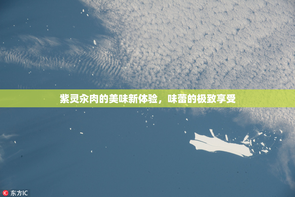 紫灵汆肉的美味新体验，味蕾的极致享受