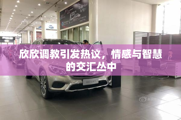 欣欣调教引发热议，情感与智慧的交汇丛中