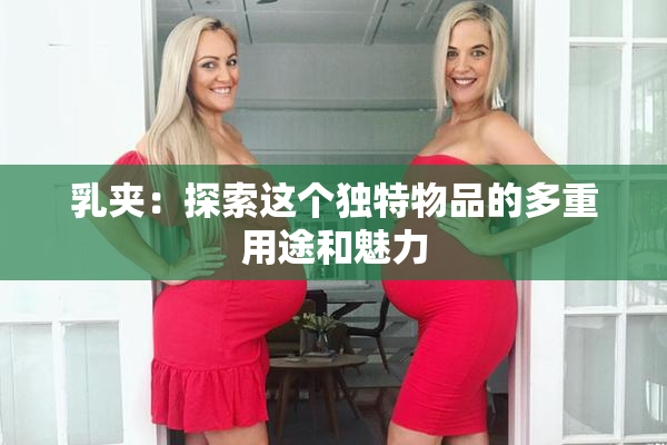 乳夹：探索这个独特物品的多重用途和魅力