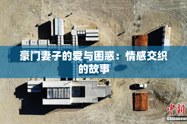 豪门妻子的爱与困惑：情感交织的故事