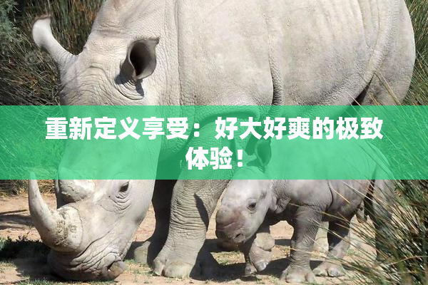 重新定义享受：好大好爽的极致体验！