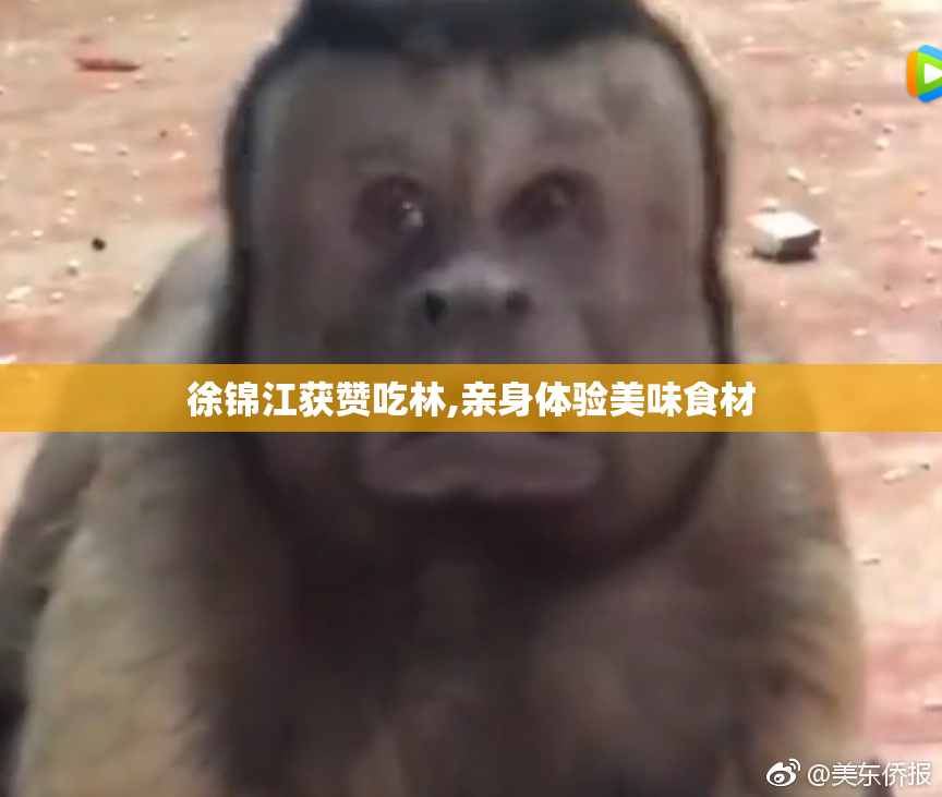徐锦江获赞吃林,亲身体验美味食材