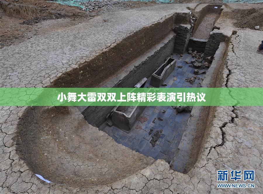 小舞大雷双双上阵精彩表演引热议