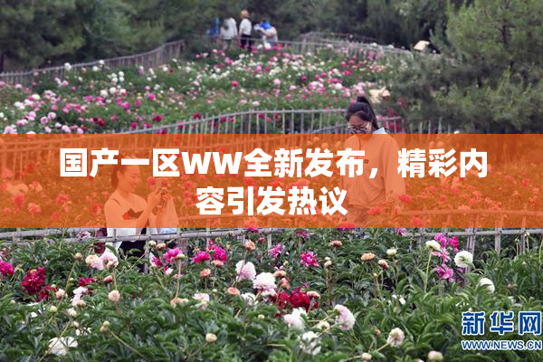 国产一区WW全新发布，精彩内容引发热议