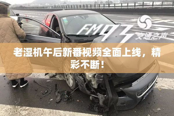 老湿机午后新番视频全面上线，精彩不断！