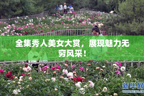 全集秀人美女大赏，展现魅力无穷风采！