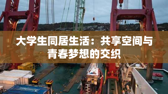 大学生同居生活：共享空间与青春梦想的交织
