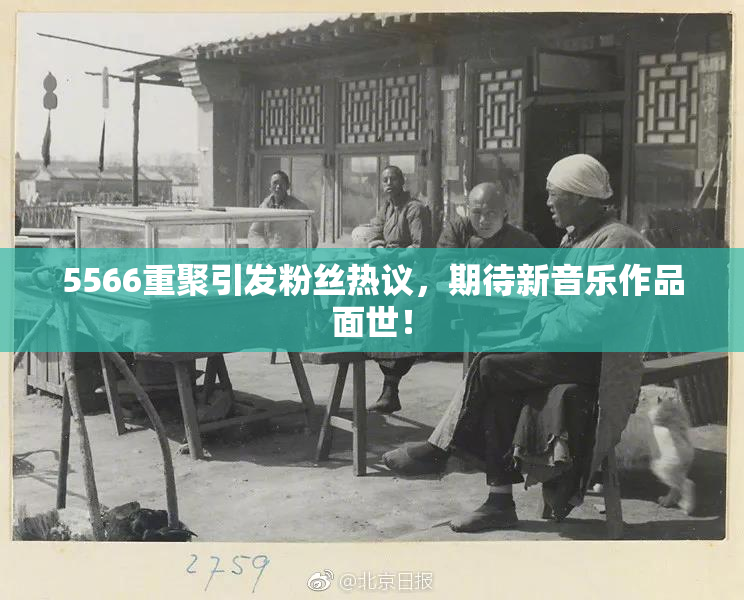 5566重聚引发粉丝热议，期待新音乐作品面世！