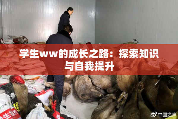 学生ww的成长之路：探索知识与自我提升