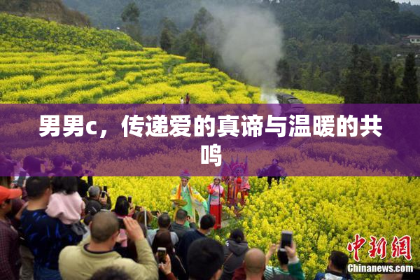 男男c，传递爱的真谛与温暖的共鸣