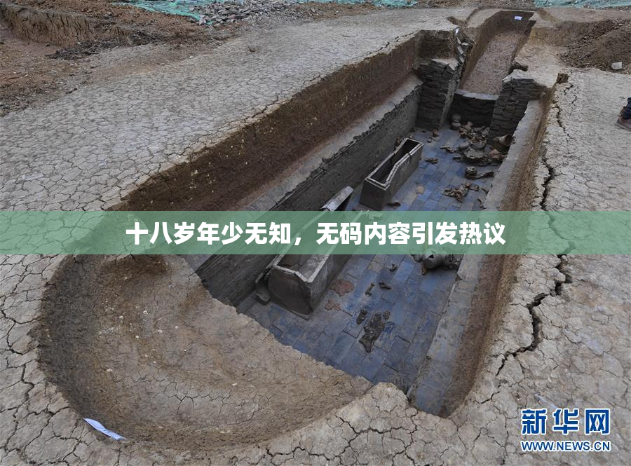 十八岁年少无知，无码内容引发热议