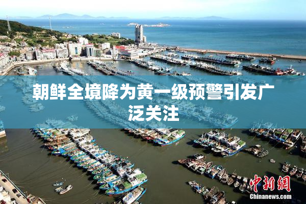 朝鲜全境降为黄一级预警引发广泛关注