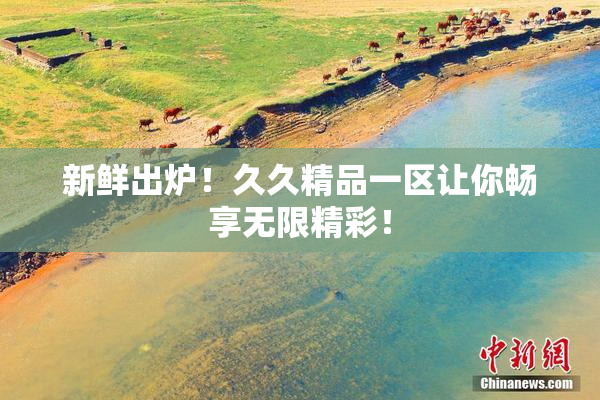 新鲜出炉！久久精品一区让你畅享无限精彩！