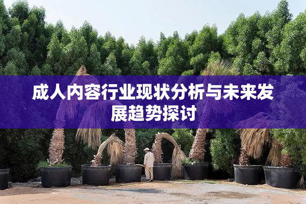 成人内容行业现状分析与未来发展趋势探讨