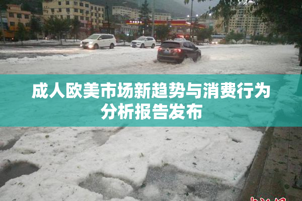 成人欧美市场新趋势与消费行为分析报告发布