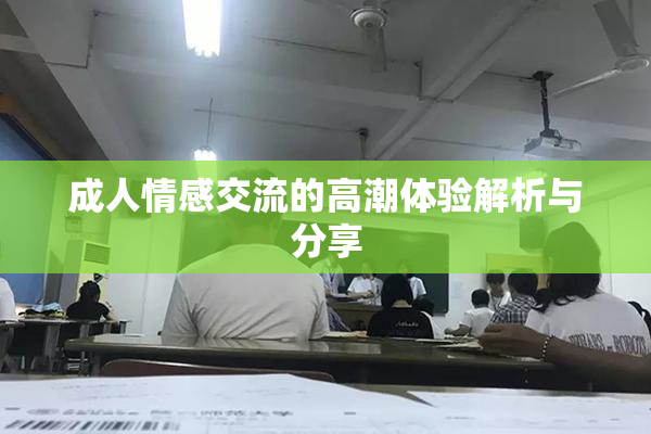成人情感交流的高潮体验解析与分享