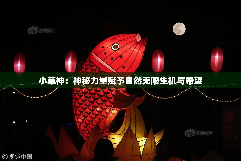 小草神：神秘力量赋予自然无限生机与希望