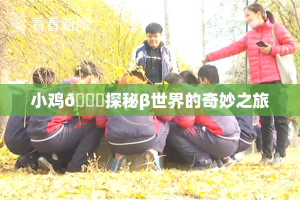 小鸡🐔探秘β世界的奇妙之旅