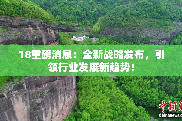 18重磅消息：全新战略发布，引领行业发展新趋势！