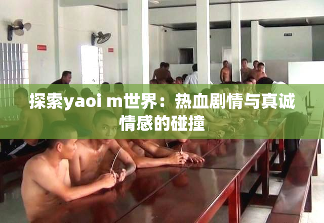 探索yaoi m世界：热血剧情与真诚情感的碰撞