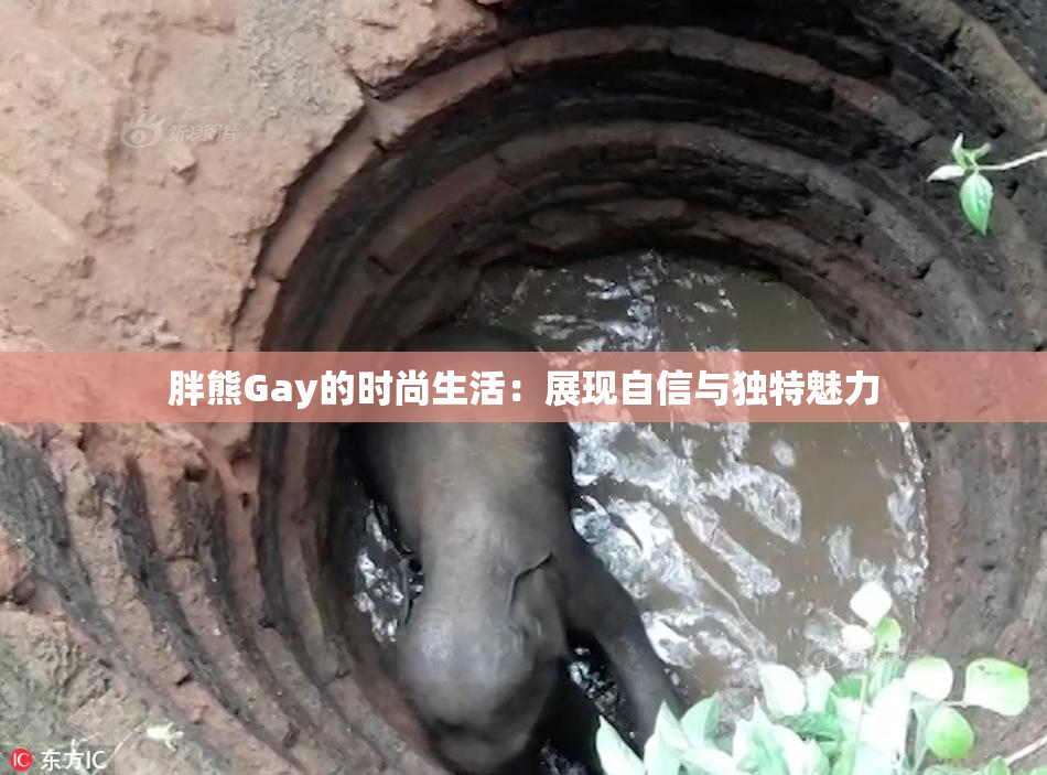 胖熊Gay的时尚生活：展现自信与独特魅力