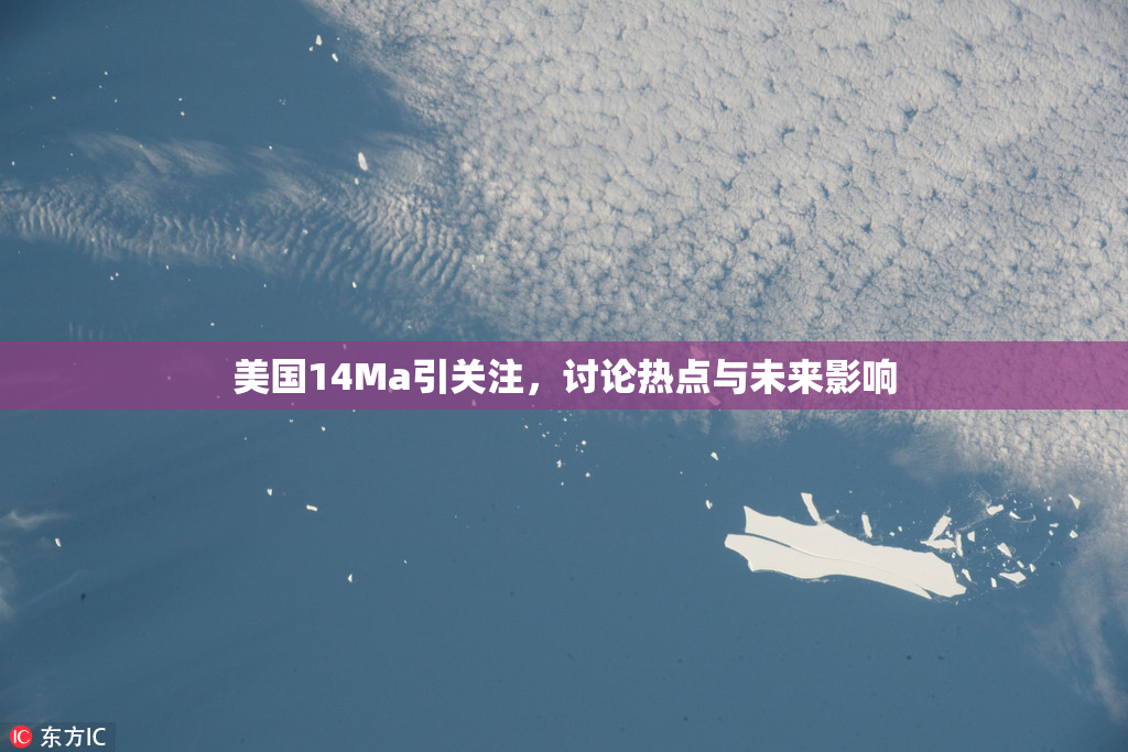 美国14Ma引关注，讨论热点与未来影响