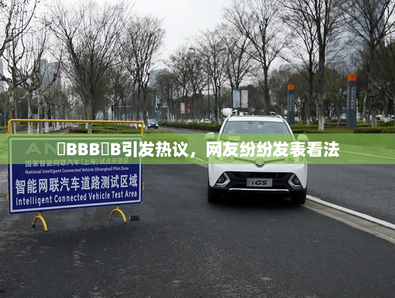 嫰BBB槡B引发热议，网友纷纷发表看法