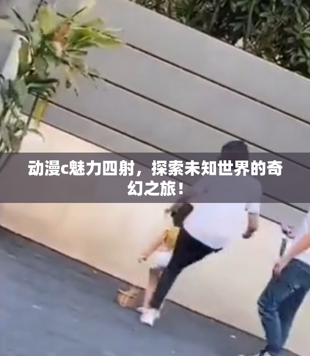 动漫c魅力四射，探索未知世界的奇幻之旅！