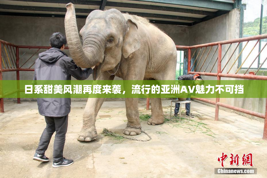 日系甜美风潮再度来袭，流行的亚洲AV魅力不可挡